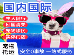 泸州云龙机场货运国际宠物托运 【国